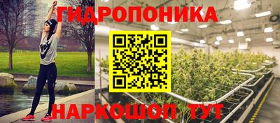 шишки Ливны