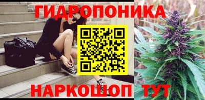 шишки Ливны