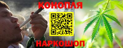 шишки Ливны